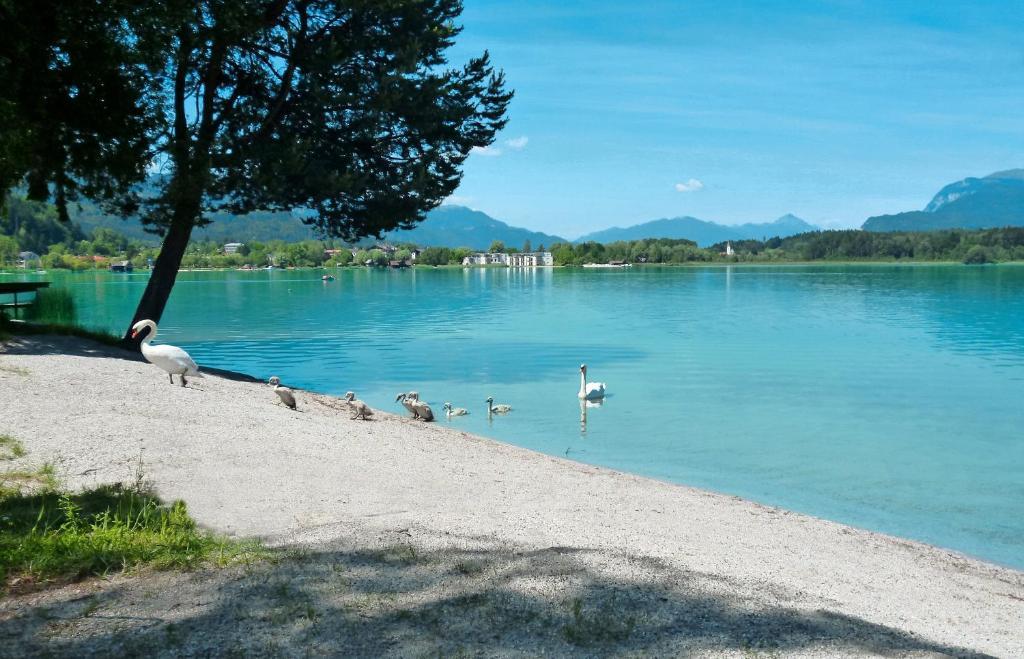 Pension Stissen Haus Am See Faak am See Exteriér fotografie